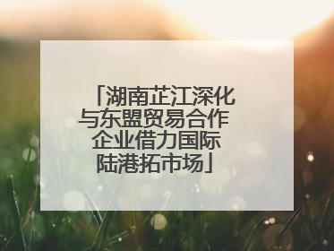 湖南芷江深化与东盟贸易合作 企业借力国际陆港拓市场