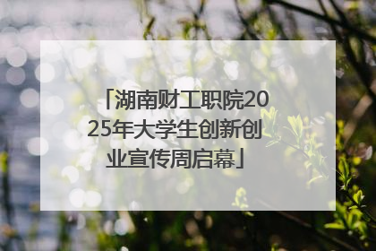 湖南财工职院2025年大学生创新创业宣传周启幕