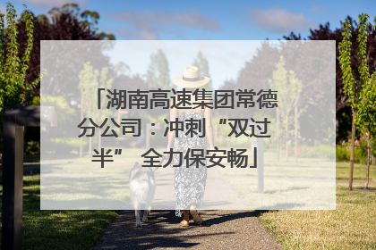 湖南高速集团常德分公司：冲刺“双过半” 全力保安畅