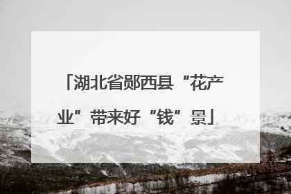 湖北省郧西县“花产业”带来好“钱”景