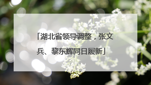 湖北省领导调整，张文兵、黎东辉同日履新