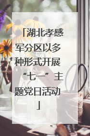 湖北孝感军分区以多种形式开展“七一”主题党日活动