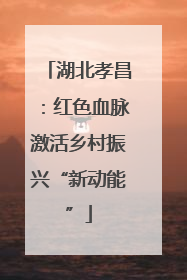 湖北孝昌：红色血脉激活乡村振兴“新动能”