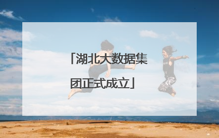 湖北大数据集团正式成立