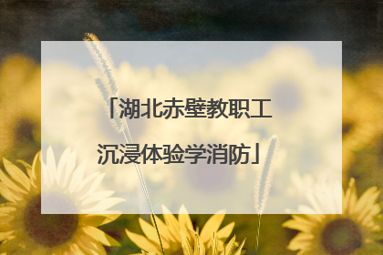 湖北赤壁教职工沉浸体验学消防