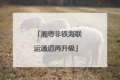 湘粤非铁海联运通道再升级