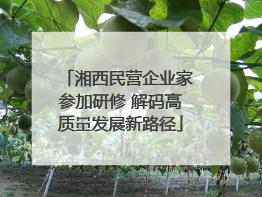 湘西民营企业家参加研修 解码高质量发展新路径