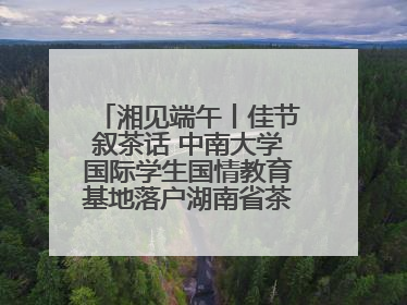 湘见端午丨佳节叙茶话 中南大学国际学生国情教育基地落户湖南省茶叶博物馆
