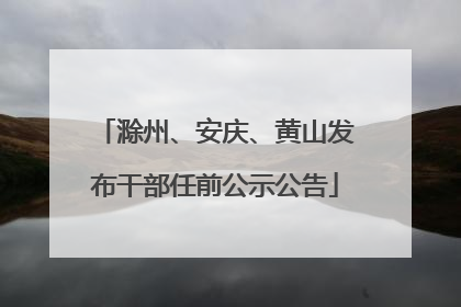 滁州、安庆、黄山发布干部任前公示公告