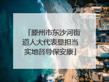 滕州市东沙河街道人大代表显担当实地督导保安康