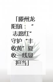 滕州龙阳镇：“志愿红”守护“丰收黄”夏收一线显担当