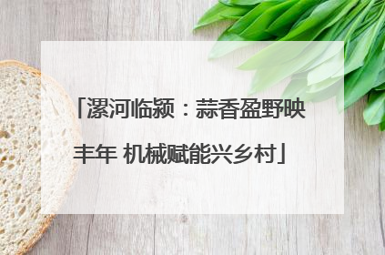 漯河临颍：蒜香盈野映丰年 机械赋能兴乡村