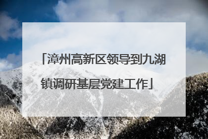 漳州高新区领导到九湖镇调研基层党建工作