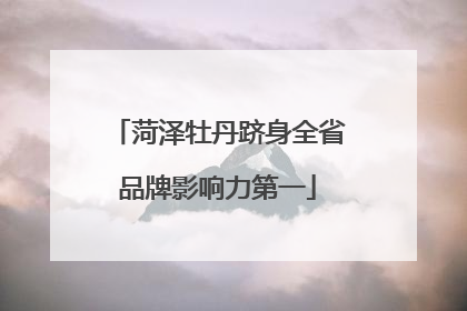 菏泽牡丹跻身全省品牌影响力第一