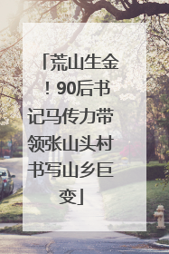 荒山生金！90后书记马传力带领张山头村书写山乡巨变