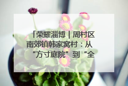 荣耀淄博｜周村区南郊镇韩家窝村：从“方寸庭院”到“全域文明”，乡村振兴的“美学革命”