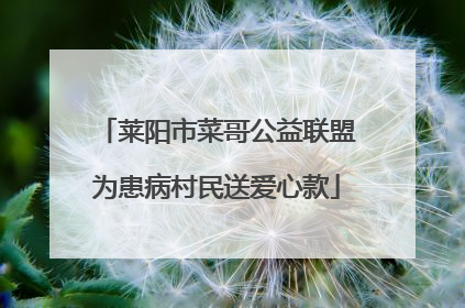 莱阳市菜哥公益联盟为患病村民送爱心款