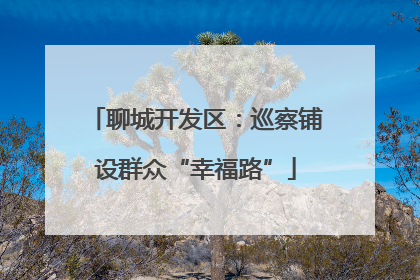 聊城开发区：巡察铺设群众“幸福路”