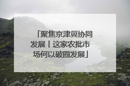 聚焦京津冀协同发展丨这家农批市场何以破圈发展