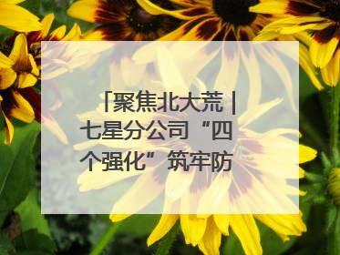 聚焦北大荒｜七星分公司“四个强化”筑牢防汛减灾屏障