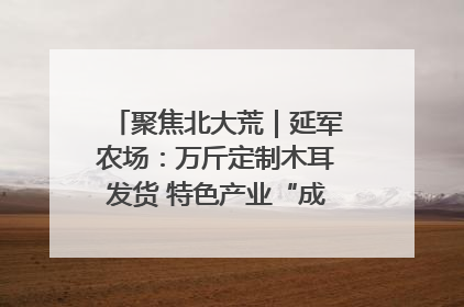 聚焦北大荒｜延军农场：万斤定制木耳发货 特色产业“成绩单”亮眼