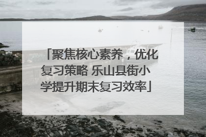 聚焦核心素养，优化复习策略 乐山县街小学提升期末复习效率