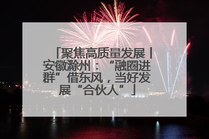 聚焦高质量发展丨安徽滁州：“融圈进群”借东风，当好发展“合伙人”