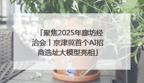 聚焦2025年廊坊经洽会丨京津冀首个AI招商选址大模型亮相