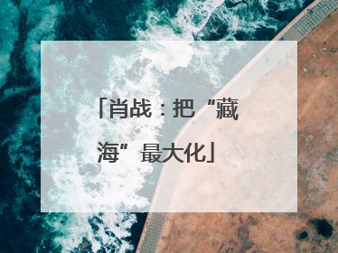 肖战：把“藏海”最大化