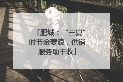 肥城：“三夏”时节金麦浪，供销服务助丰收