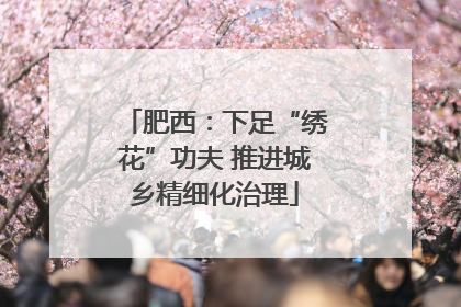 肥西：下足“绣花”功夫 推进城乡精细化治理