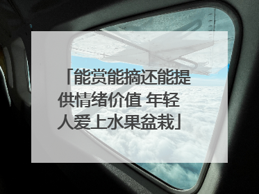 能赏能摘还能提供情绪价值 年轻人爱上水果盆栽