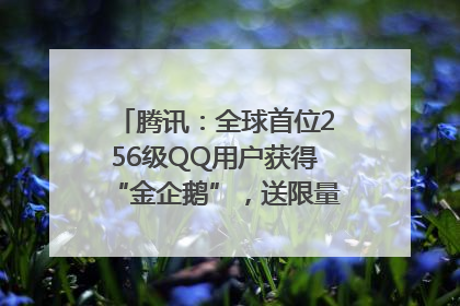 腾讯：全球首位256级QQ用户获得“金企鹅”，送限量版神秘惊喜等礼物