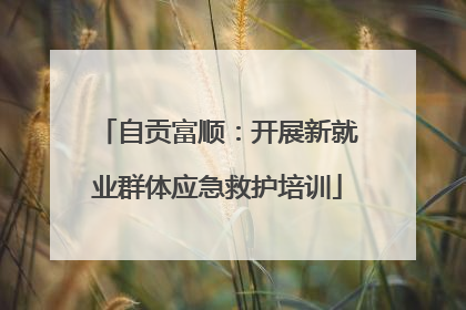 自贡富顺：开展新就业群体应急救护培训