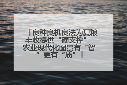良种良机良法为夏粮丰收提供“硬支撑” 农业现代化图景有“智”更有“质”