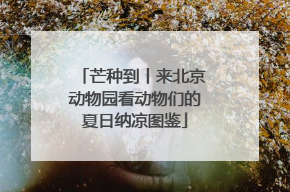 芒种到丨来北京动物园看动物们的夏日纳凉图鉴