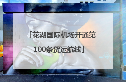 花湖国际机场开通第100条货运航线