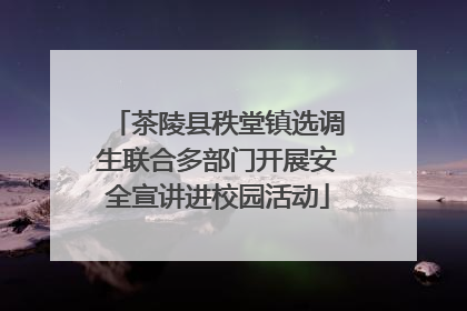 茶陵县秩堂镇选调生联合多部门开展安全宣讲进校园活动