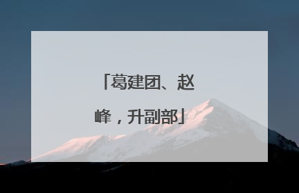 葛建团、赵峰，升副部