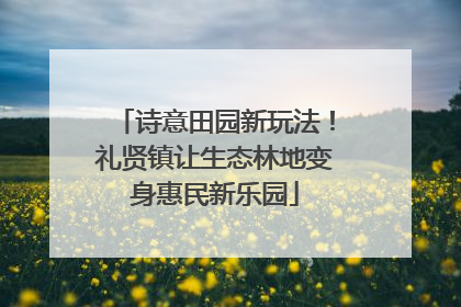 诗意田园新玩法！礼贤镇让生态林地变身惠民新乐园