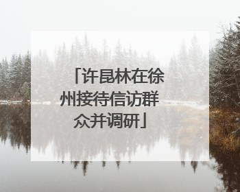 许昆林在徐州接待信访群众并调研