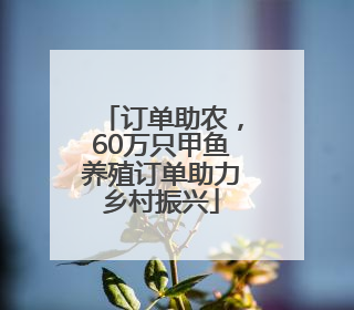 订单助农，60万只甲鱼养殖订单助力乡村振兴