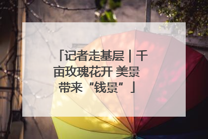 记者走基层｜千亩玫瑰花开 美景带来“钱景”