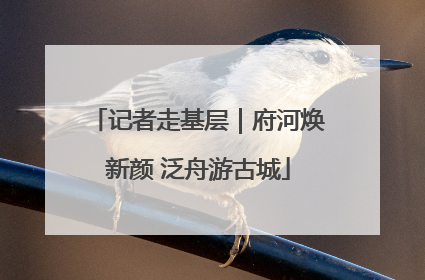 记者走基层｜府河焕新颜 泛舟游古城