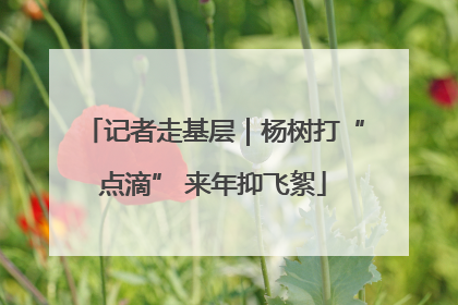 记者走基层｜杨树打“点滴” 来年抑飞絮