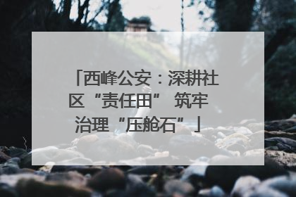 西峰公安：深耕社区“责任田” 筑牢治理“压舱石”