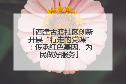 西津古渡社区创新开展“行走的党课”：传承红色基因、为民做好服务