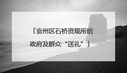 襄州区石桥资规所给政府及群众“送礼”