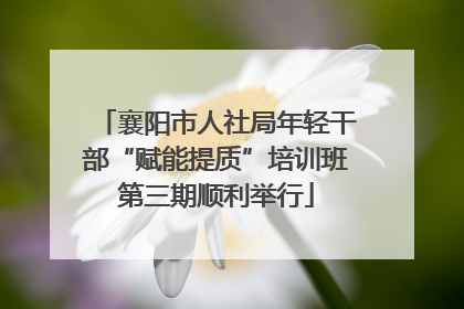 襄阳市人社局年轻干部“赋能提质”培训班第三期顺利举行