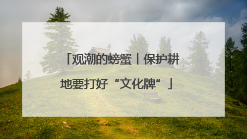 观潮的螃蟹丨保护耕地要打好“文化牌”